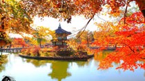 Xuất khẩu sang Hàn Quốc 9 tháng đầu năm và những điều cần biết 
