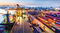 Quy định mới về điều kiện nhập khẩu hàng thành phẩm vào Algeria