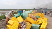 Sóc Trăng tiêu hủy hơn 177.600 gói thuốc lá nhập lậu
