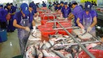 Giá thủy sản xuất khẩu tuần 27/10 -3/11/2017