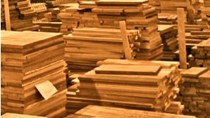 Giá gỗ nhập khẩu tuần 27/10 -3/11/2017