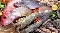 Nhập khẩu thủy sản 10 tháng đầu năm 2017 tăng mạnh 