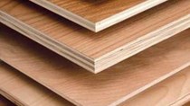 Mỹ áp thuế chống phá giá với gỗ dán cứng Trung Quốc