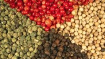 Bộ Công Thương Ấn Độ áp dụng mức giá nhập khẩu tối thiểu đối với hạt tiêu