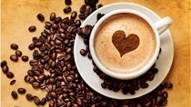 Xuất khẩu cà phê 11 tháng đầu năm giảm cả về lượng và kim ngạch 