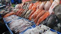 Xuất khẩu thủy sản 11 tháng tăng gần 20% kim ngạch