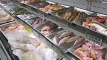 Kiểm soát chặt các lô hàng thực phẩm quá cảnh bị nhiễm Salmonella Agona