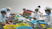 Giá thủy sản xuất khẩu tuần 5-11/1/2018