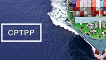 Thủy sản đứng trước cơ hội thúc đẩy xuất khẩu khi CPTPP được ký kết
