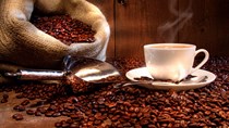 Giá cà phê  ngày 17/3/2018 tăng mạnh lên 37.000 đồng/kg 