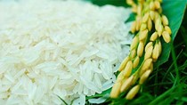 Giá gạo xuất khẩu tuần 23-30/3/2018