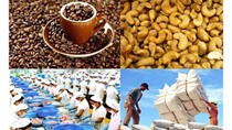 Xuất khẩu nông sản tỷ USD “lao dốc”
