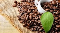 Xuất khẩu cà phê tăng về lượng, giảm về kim ngạch