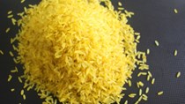 Giá lúa gạo tại ĐBSCL lên cao kỷ lục, có loại tăng 250 – 300 đồng/kg