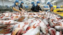 Xuất khẩu thủy sản tăng trưởng tốt