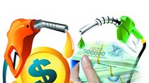 Nhập khẩu xăng dầu tăng cả về giá, lượng và kim ngạch 