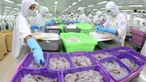 Giá thủy sản xuất khẩu tuần 8 – 14/6/2018