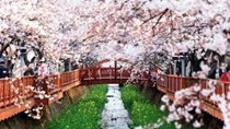 Nhập siêu từ Hàn Quốc 6 tháng đầu năm giảm 13,4% so với cùng kỳ