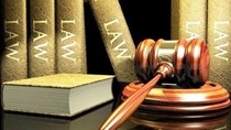 Hướng dẫn lập Báo cáo tài chính tổng hợp của đơn vị kế toán nhà nước