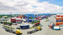 Tin đáng chú ý ngày 9/1/2019: Trung Quốc săn mua DN Việt, cẩn trọng XK hạt điều