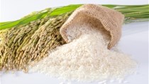Xuất khẩu gạo 4 tháng đầu năm giảm cả về lượng, giá và kim ngạch