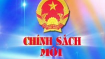 Chính sách mới có hiệu lực từ tháng 6/2019