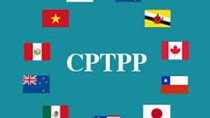 NĐ của CP về Biểu thuế XNK ưu đãi để thực hiện Hiệp định CPTPP giai đoạn 2019-2022