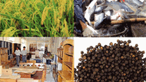 Muốn tăng xuất khẩu nông thủy sản cần chế biến sâu
