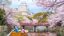 Nhập khẩu hàng hóa từ Nhật Bản 6 tháng đầu năm 2019 giảm nhẹ
