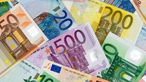 Tỷ giá Euro ngày 29/8/2019 giảm ở hầu hết các ngân hàng