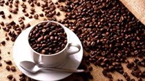 Xuất khẩu cà phê 8 tháng đầu năm 2019 giảm cả lượng, giá và kim ngạch 
