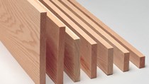 Thông tư của Bộ CT về ngừng kinh doanh tạm nhập tái xuất gỗ dán sang Mỹ 