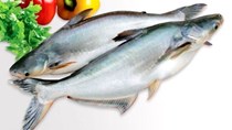 Doanh nghiệp xuất khẩu cá tra giảm doanh số vì thị trường Mỹ