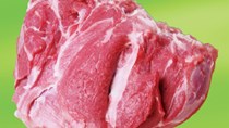 Khủng hoảng thịt heo tại Trung Quốc dịu xuống, đà tăng giá chưa chấm dứt