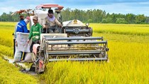 Thị trường là khâu quyết định tăng trưởng của ngành nông nghiệp năm 2020