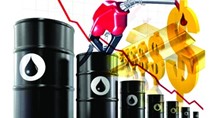 Thị trường nhập khẩu xăng dầu năm 2019
