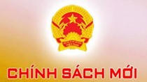 Chính sách mới có hiệu lực từ tháng 2/2020