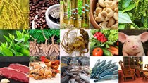 Quí I/2020 nông, lâm, thủy sản xuất siêu hơn 3 tỉ USD giữa đại dịch COVID-19 