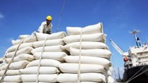 Lượng gạo xuất khẩu sang Trung Quốc 4 tháng đầu năm 2020 tăng 131%