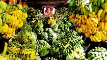 Rau, quả tươi tìm đường vào Thái