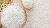 Giá lúa gạo ngày 20/5/2020: Thị trường khởi sắc 