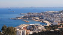 Xuất khẩu sang Algeria, cà phê chiếm 69% 