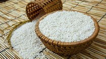 Giá lúa gạo ngày 15/6/2020 giảm nhẹ