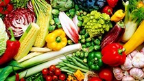 Xuất khẩu rau quả chế biến tăng trưởng khả quan