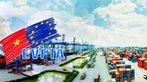 28/7/2020: Diễn đàn chuyển đổi số trong lĩnh vực XK, tận dụng cơ hội từ EVFTA