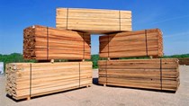Thị trường chủ yếu cung cấp gỗ, sản phẩm gỗ cho VN 6 tháng đầu năm 2020