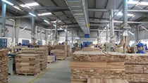 “Vỡ mộng” tạo sức bật xuất khẩu gỗ vào EU nhờ EVFTA