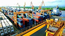 Tháng 8 Việt Nam nhập khẩu 323 triệu USD hàng hóa từ EU theo C/O EVFTA 