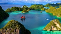 Xuất khẩu sang Indonesia 9 tháng đầu năm 2020 giảm 20,9%