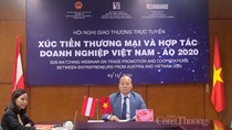 Doanh nghiệp Áo quan tâm đến hàng tiêu dùng của Việt Nam